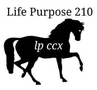 Life Purpose 210