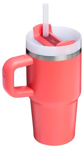 Insulated Stainless Steel Tumbler with Straw and Handle BPA-Free