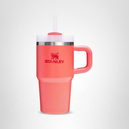 Insulated Stainless Steel Tumbler with Straw and Handle BPA-Free