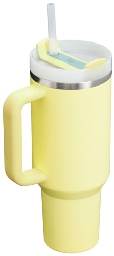 Insulated Stainless Steel Tumbler with Straw and Handle BPA-Free