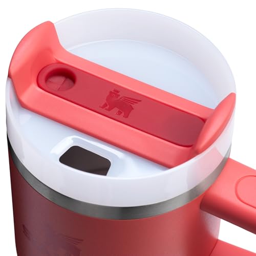 Insulated Stainless Steel Tumbler with Straw and Handle BPA-Free