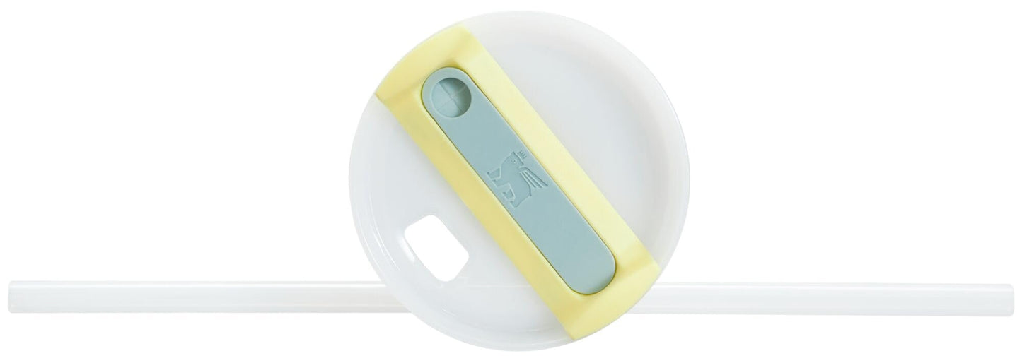 Insulated Stainless Steel Tumbler with Straw and Handle BPA-Free