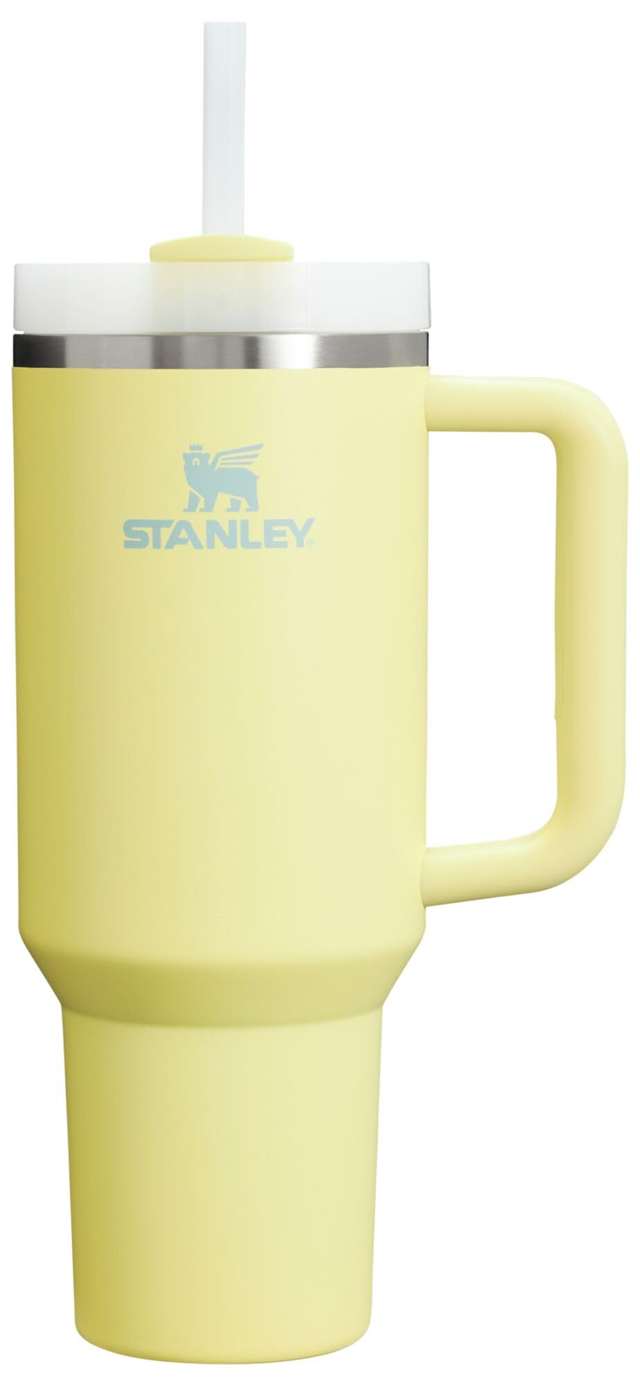 Insulated Stainless Steel Tumbler with Straw and Handle BPA-Free