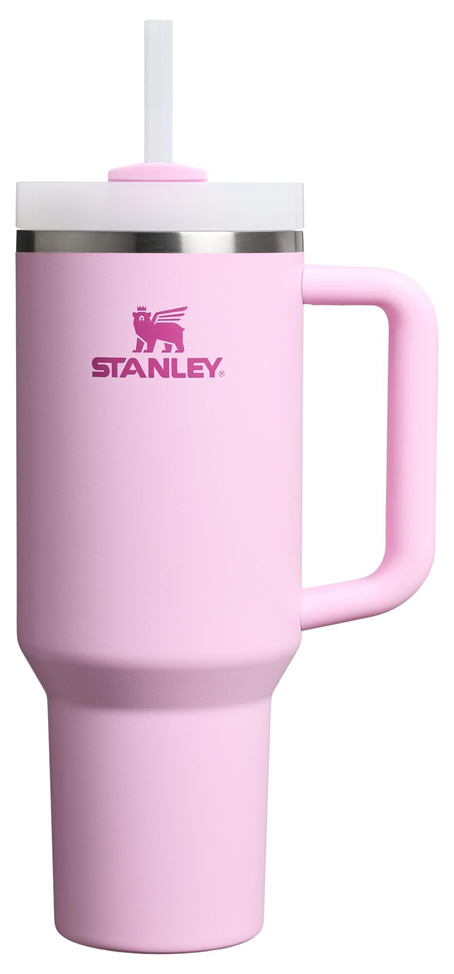 Insulated Stainless Steel Tumbler with Straw and Handle BPA-Free