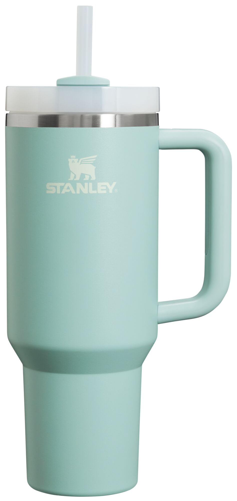 Insulated Stainless Steel Tumbler with Straw and Handle BPA-Free
