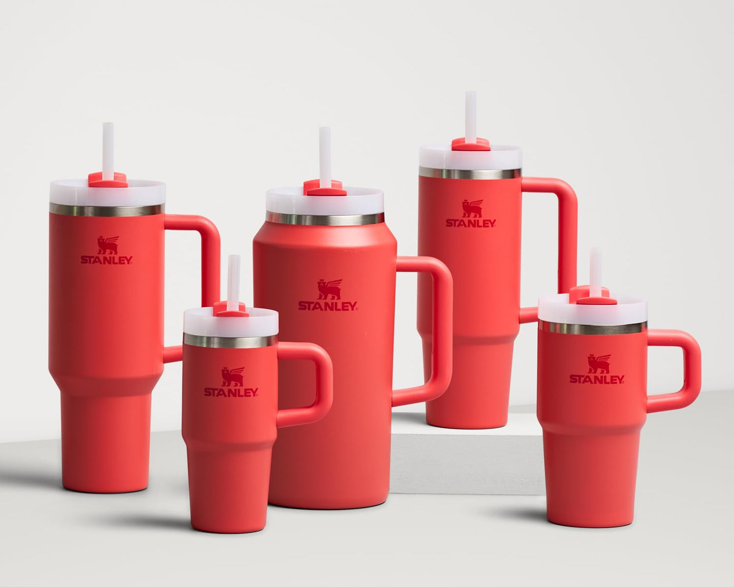 Insulated Stainless Steel Tumbler with Straw and Handle BPA-Free