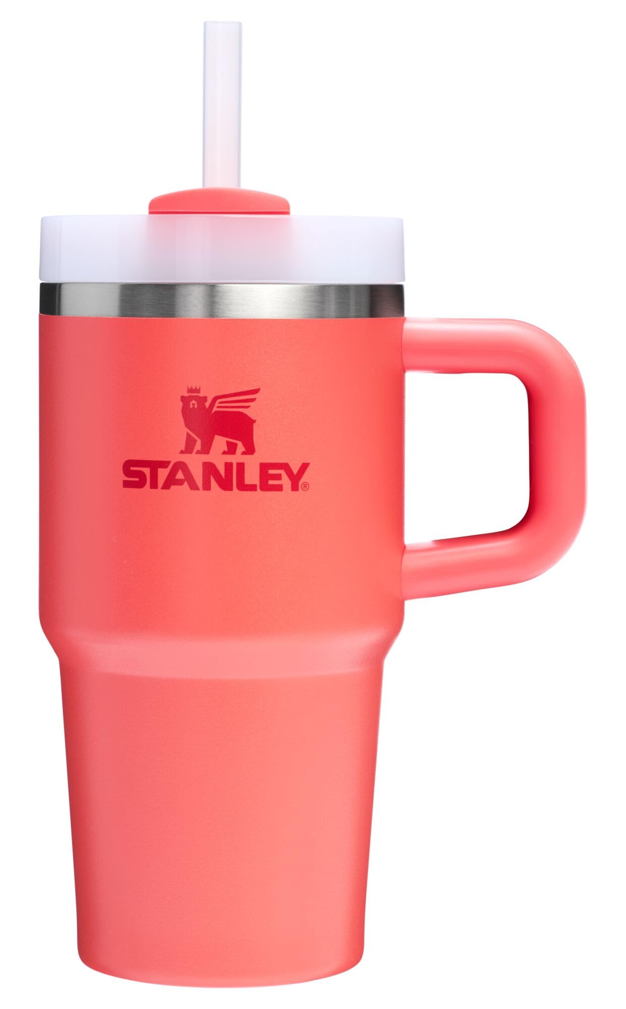 Insulated Stainless Steel Tumbler with Straw and Handle BPA-Free